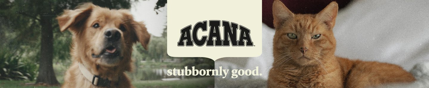 Acana subbornly good.