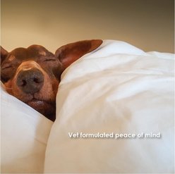 TranQuil Chews Calming Dog Supplement, 60 count slide 2 of 8