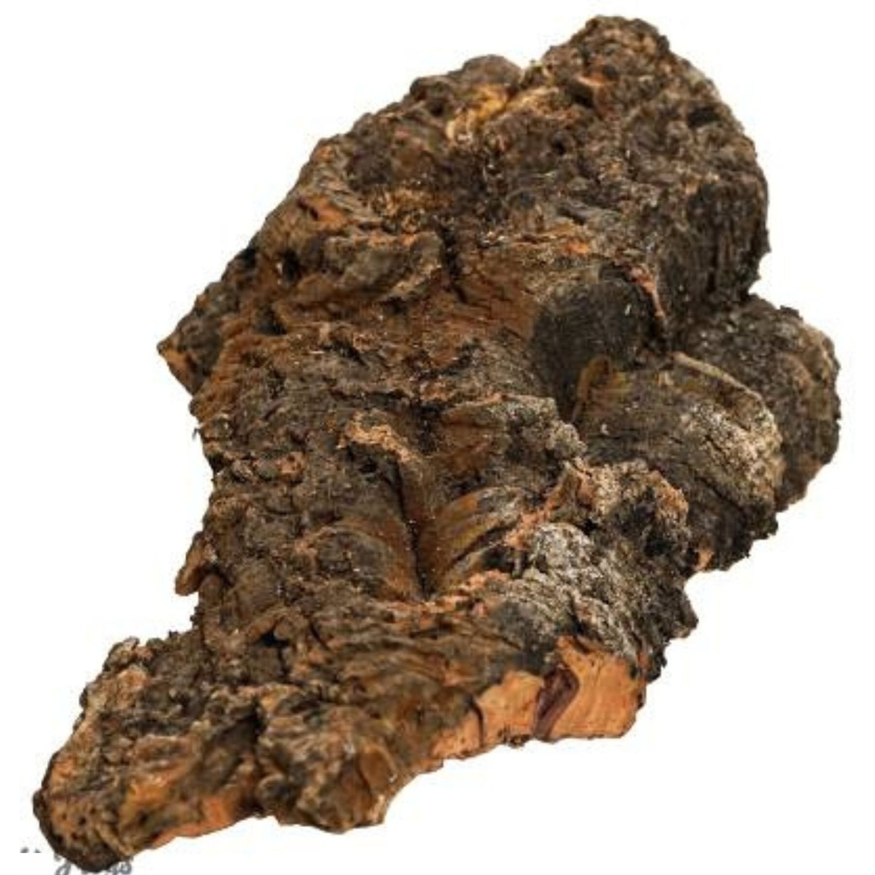 Josh's Frogs Individual Reptile Cork Flat Terrarium Wood, Large