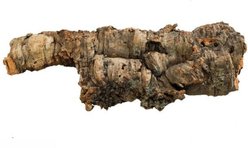 Josh's Frogs Individual Reptile Cork Bark Flat Terrarium Wood, Medium