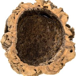 Josh's Frogs Virgin Reptile Cork Planter Terrarium Wood, 4-in slide 2 of 9