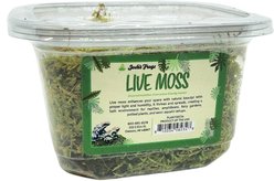 Josh's Frogs Live Moss Assorted Species Reptile Live Plant, Small