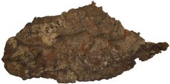 Josh's Frogs Individual Reptile Cork Flat Terrarium Wood, Small
