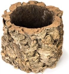 Josh's Frogs Virgin Reptile Cork Planter Terrarium Wood, 6-in