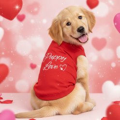 Doggie Design Puppy Love Graphic Dog Shirt, Red, XXX-Large slide 2 of 3