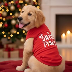 Doggie Design Santa Paws Graphic Dog Shirt, Red, X-Large slide 2 of 3