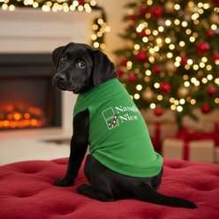 Doggie Design Nice Graphic Dog Shirt, Green, XXX-Large slide 2 of 3