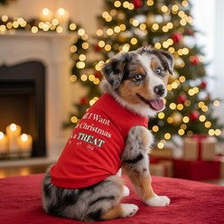 Doggie Design All I Want for Christmas Graphic Dog Shirt, Red, XX-Large slide 2 of 3