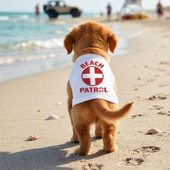 Doggie Design Beach Patrol Graphic Dog Shirt, White, Large slide 2 of 3
