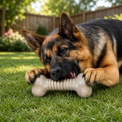 USA-K9 Stars & Stripes Wishbone Nylon Tough Dog Chew Toy, Natural Brown, Large/X-Large slide 2 of 5