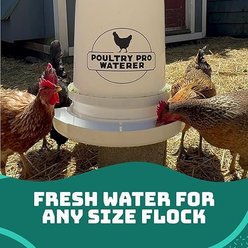 Poultry Pro Feeder Waterer, 14.5 x 16.5 x 2-in slide 2 of 4