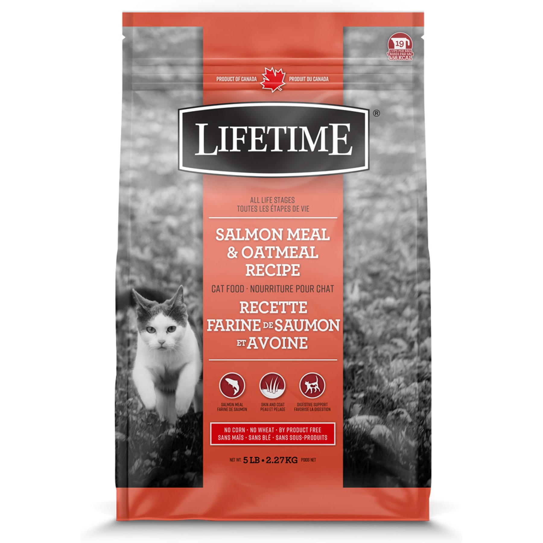 Lifetime Salmon & Oatmeal ALS Dry Cat Food, 5-lb bag