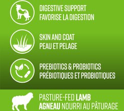 Lifetime Grain-Free Pasture Fed Lamb ALS Dry Dog Food, 5-lb bag slide 2 of 7