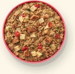 Your Pet's Kitchen Beef Hash Recipe Wet Dog Food, 13.2-oz can, case of 12 slide 2 of 8