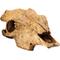 Show in main carousel: Bearded Dragon 120G Outback Substrate Setup slide 6 of 8