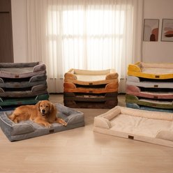 Comfort Expression Waterproof Orthopedic Foam Dog Bed, Dark Green, 36 x 27 x 7.5-in slide 2 of 9