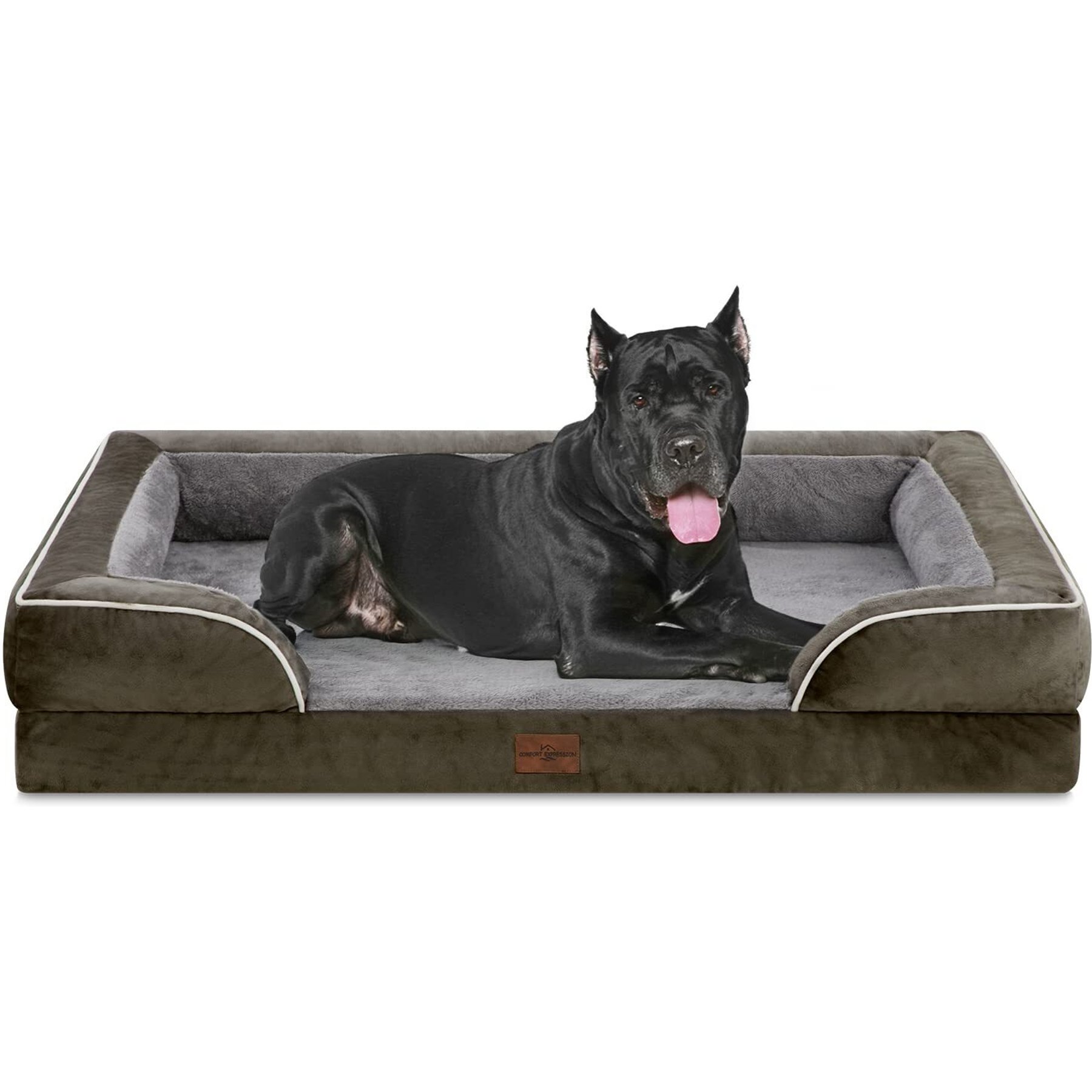 Comfort Expression Waterproof Orthopedic Foam Dog Bed, Dark Green, 53 x 42 x 9.5-in