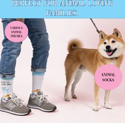 Pavilion Dog Walkin' Socks Memorial Keepsake, Multicolor, Medium/Large