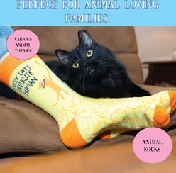 Pavilion Every Cat's Favorite Human Socks Memorial Keepsake, Multicolor, Medium/Large