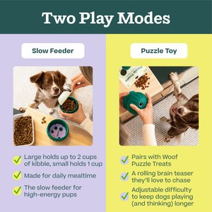 Woof Walkabout Dog Puzzle Toy & Slow-Feeder Kibble Dispenser, Green, Large