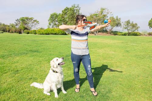 Show full view: Chuckit! Flying Duck Fetch Dog Toy, Multicolor, Large slide 4 of 4