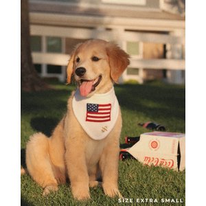 The Deluxe Pup DeluxeFIT American Flag Dog Bandana, White, Small