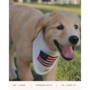 The Deluxe Pup DeluxeFIT American Flag Dog Bandana, White, Small