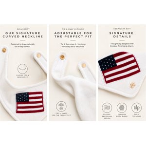 The Deluxe Pup DeluxeFIT American Flag Dog Bandana, White, Small