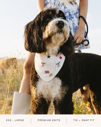 The Deluxe Pup DeluxeFIT Patriotic Icons Dog Bandana, X-Small slide 2 of 5