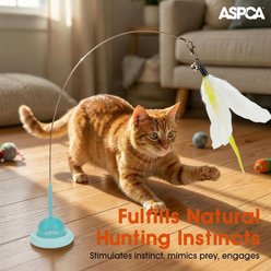 ASPCA Self Play Suction Cup Feather Chasers Cat Toy Wand, Blue slide 2 of 3