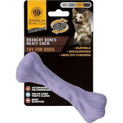 American Kennel Club American Kennel Club Polypropylene Bone Durable Beef Scented Training Dog Chew Toy, Large, Purple
