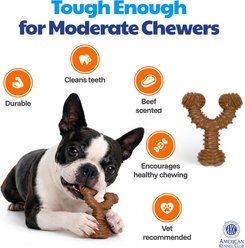 American Kennel Club Wood-Infused Polypropylene Spiky Wishbone Durable Beef Scented Training Dog Chew Toy, 3 count slide 2 of 5