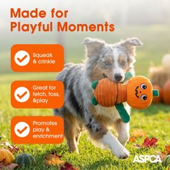 Bow-Wow Pet Halloween Pumpkin & Vampire Squeaky Dog Plush Toy, 2 count slide 2 of 4