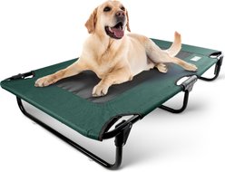 American Kennel Club AKC Foldable Elevated Mesh Cooling Center Dog Bed, Green, Large: 24 x 42-in