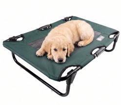 American Kennel Club AKC Foldable Elevated Mesh Cooling Center Dog Bed, Green, Small: 20 x 30-in