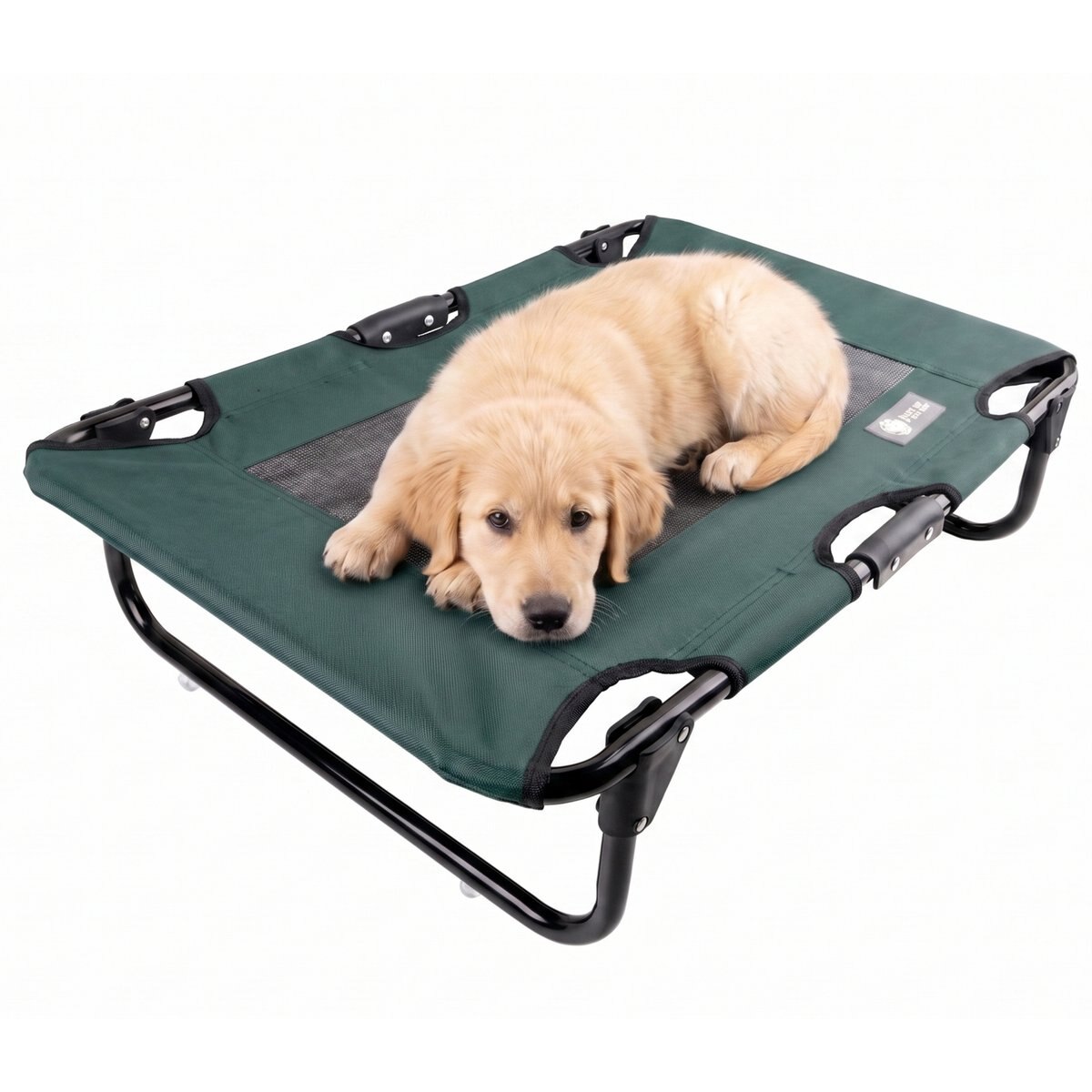 American Kennel Club AKC Foldable Elevated Mesh Cooling Center Dog Bed, Green, Small: 20 x 30-in
