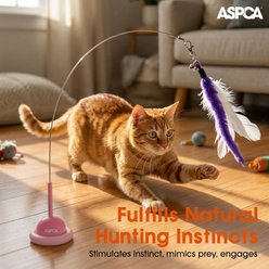 ASPCA Self Play Suction Cup Feather Chasers Cat Toy Wand, Pink slide 2 of 3