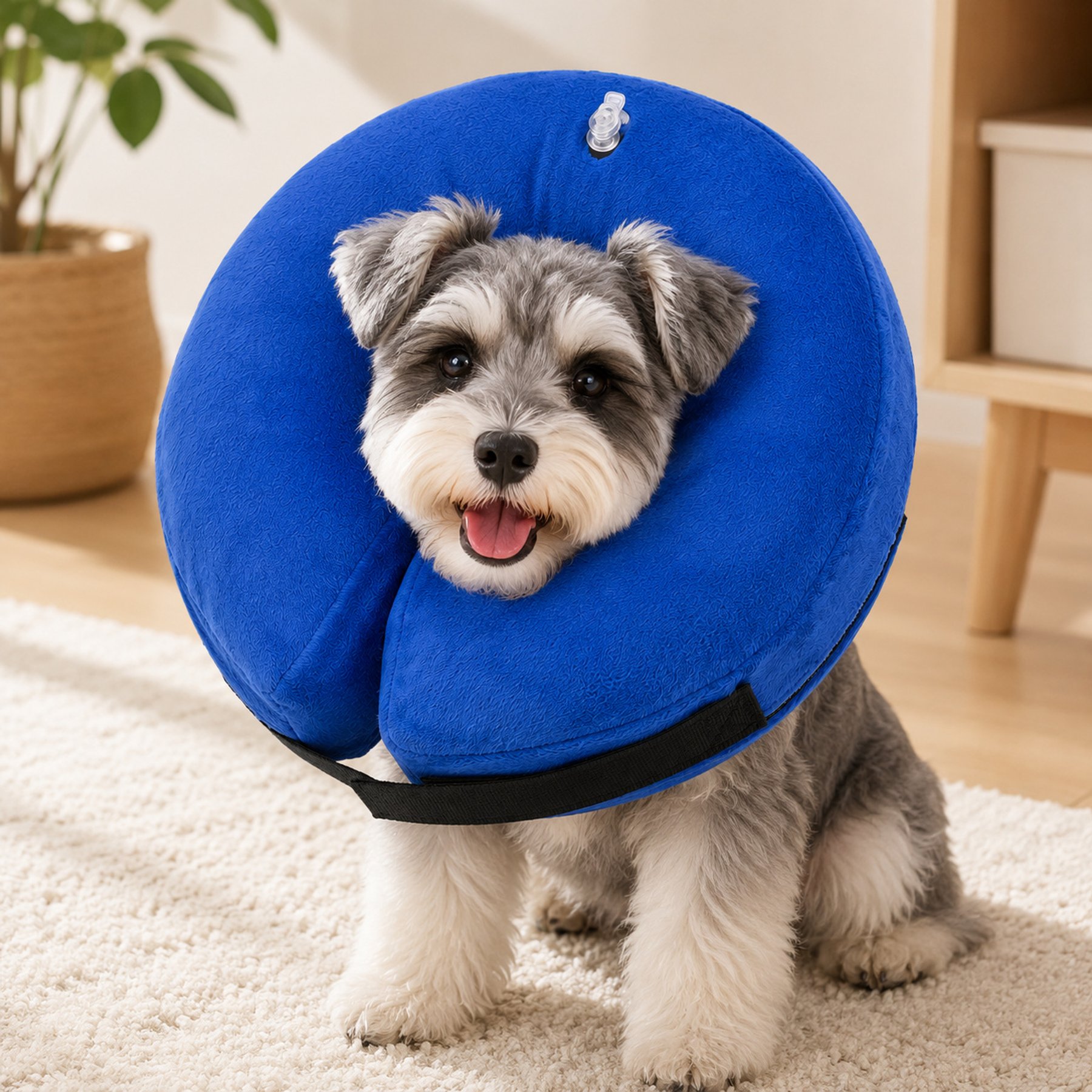 NonoPets Post-Surgery Healing Adjustable Donut Comfort Soft Protective Dog & Cat Inflatable Recovery E-Collar cone, Medium