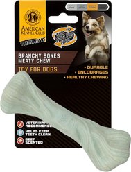 American Kennel Club Polypropylene Bone Durable Beef Scented Training Dog Chew Toy, Large, Green