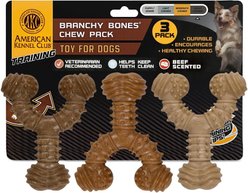 American Kennel Club Wood-Infused Polypropylene Spiky Wishbone Durable Beef Scented Training Dog Chew Toy, 3 count