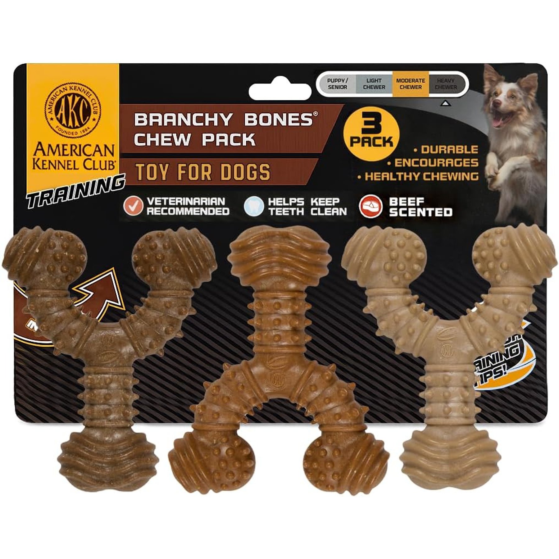 American Kennel Club Wood-Infused Polypropylene Spiky Wishbone Durable Beef Scented Training Dog Chew Toy, 3 count