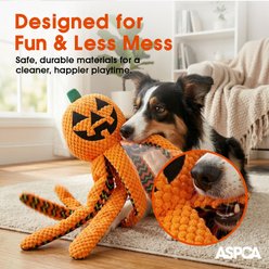 Bow-Wow Pet Halloween Jack-O-Lantern Octopus Squeaky Dog Plush Toy slide 2 of 4