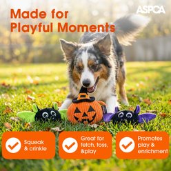 Bow-Wow Pet Halloween Bats & Jack O’ Lantern Squeaky Dog Plush Toy, 3 count slide 2 of 3