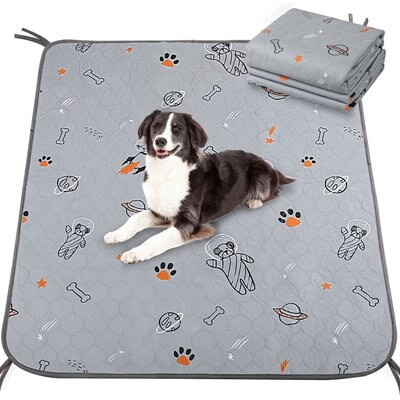UPSKY UPSKY Washable Super Absorbent Waterproof Leakproof Potty Training Space Themed Dog Pee Pads, Grey, 2 count, 41 x 41-in
