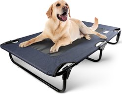 American Kennel Club AKC Foldable Elevated Mesh Cooling Center Dog Bed, Blue, Large: 24 x 42-in
