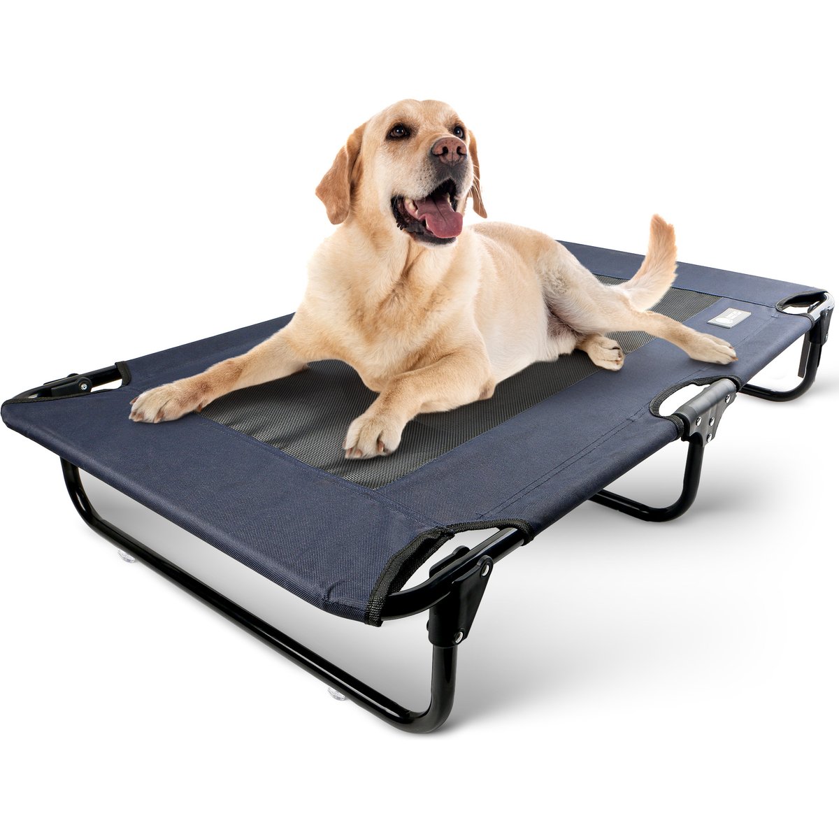 American Kennel Club AKC Foldable Elevated Mesh Cooling Center Dog Bed, Blue, Large: 24 x 42-in