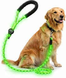MEGAPAWS LED Light Up Reflective Nylon Dog Leash with Type-C Charging, 4-ft long, 3/8-in wide, Green