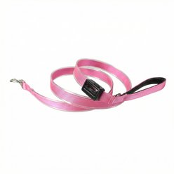 MEGAPAWS Rechargeable LED Light-Up Dog Leash, 5-ft long, 5/6-in wide, Pink