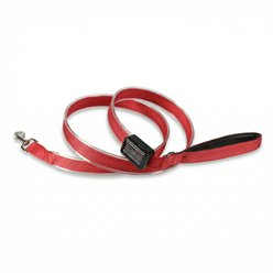 MEGAPAWS Rechargeable LED Light-Up Dog Leash, 5-ft long, 5/6-in wide, Red