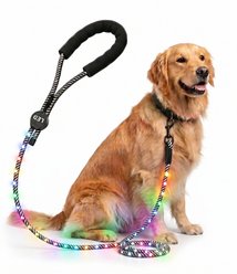 MEGAPAWS LED Light Up Reflective Nylon Dog Leash with Type-C Charging, 4-ft long, 3/8-in wide, Rainbow